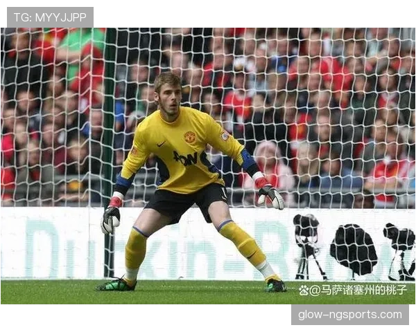 门将规则：何时允许在禁区内用手触球的判定要点